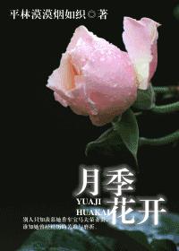 月季花开