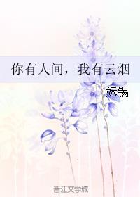 你有人间，我有云烟