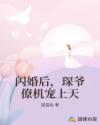 闪婚后,琛爷僚机宠上天