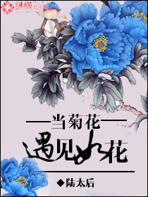 当菊花遇见如花