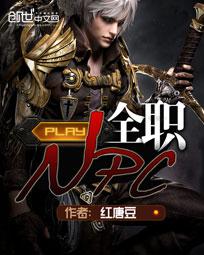 全职NPC