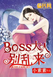 BOSS大人别乱来