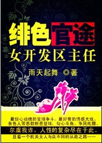 绯色官途：女开发区主任